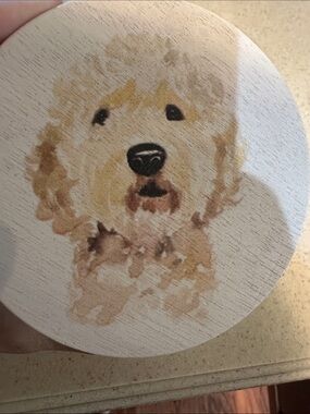Sand + Paws pet odor neutralizing candle in Sunwashed Citrus new w/ doodle lid
